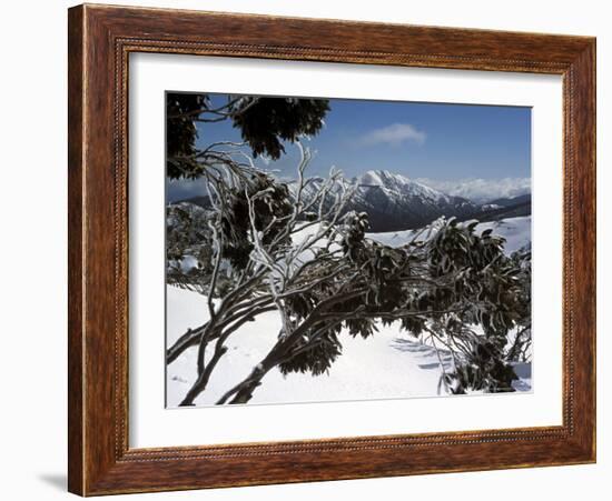 Winter Landscape of Mountains Seen Through Snow-Covered Tree Branches, High Country, Australia-Richard Nebesky-Framed Photographic Print