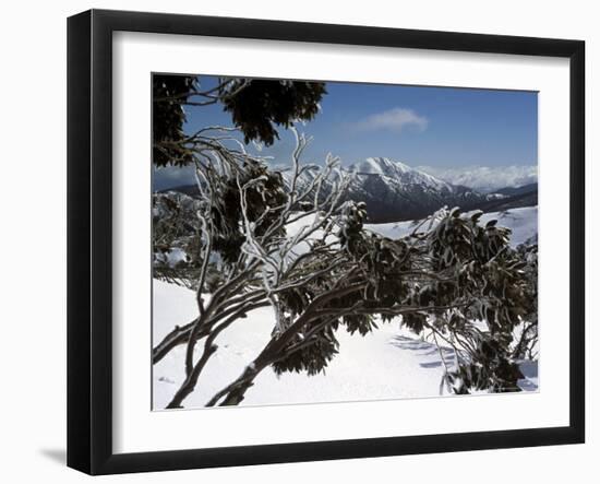 Winter Landscape of Mountains Seen Through Snow-Covered Tree Branches, High Country, Australia-Richard Nebesky-Framed Photographic Print