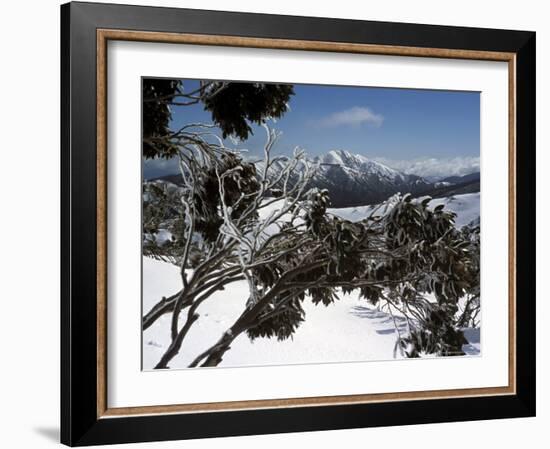 Winter Landscape of Mountains Seen Through Snow-Covered Tree Branches, High Country, Australia-Richard Nebesky-Framed Photographic Print