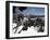 Winter Landscape of Mountains Seen Through Snow-Covered Tree Branches, High Country, Australia-Richard Nebesky-Framed Photographic Print