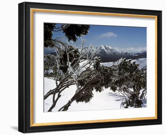 Winter Landscape of Mountains Seen Through Snow-Covered Tree Branches, High Country, Australia-Richard Nebesky-Framed Photographic Print