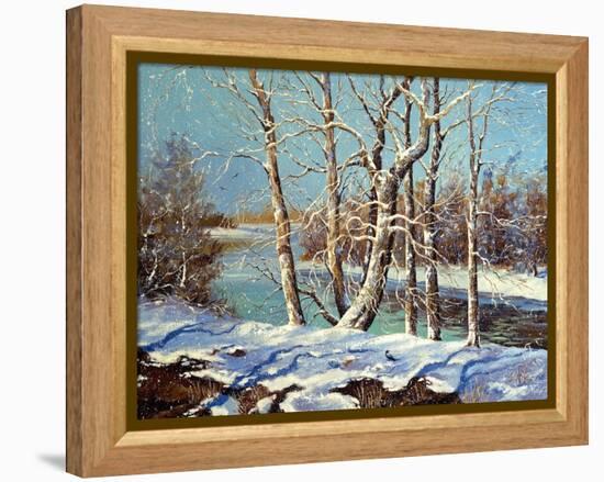 Winter Landscape On The Bank Of The River-balaikin2009-Framed Stretched Canvas