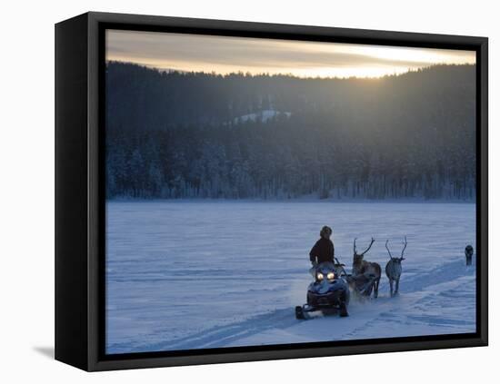 Winter Landscape, Reindeer and Snowmobile, Jokkmokk, Sweden-Peter Adams-Framed Premier Image Canvas