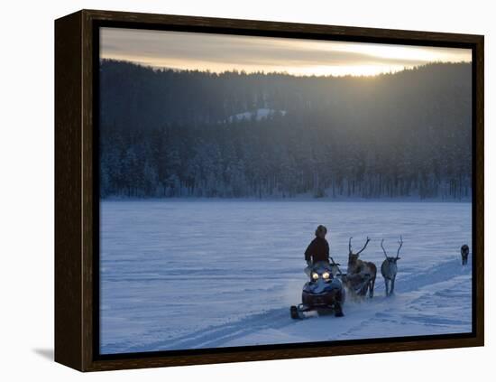 Winter Landscape, Reindeer and Snowmobile, Jokkmokk, Sweden-Peter Adams-Framed Premier Image Canvas