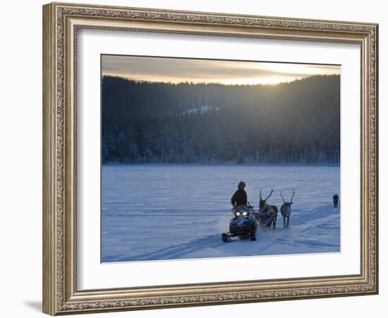 Winter Landscape, Reindeer and Snowmobile, Jokkmokk, Sweden-Peter Adams-Framed Photographic Print