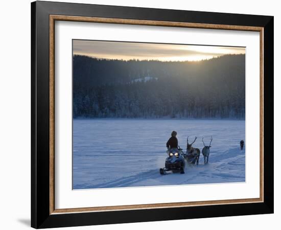 Winter Landscape, Reindeer and Snowmobile, Jokkmokk, Sweden-Peter Adams-Framed Photographic Print