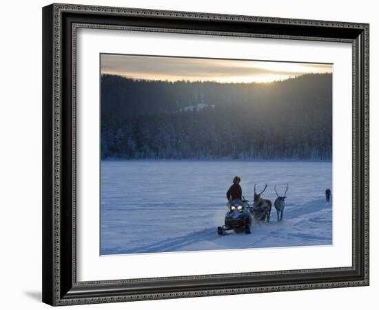 Winter Landscape, Reindeer and Snowmobile, Jokkmokk, Sweden-Peter Adams-Framed Photographic Print