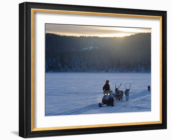 Winter Landscape, Reindeer and Snowmobile, Jokkmokk, Sweden-Peter Adams-Framed Photographic Print