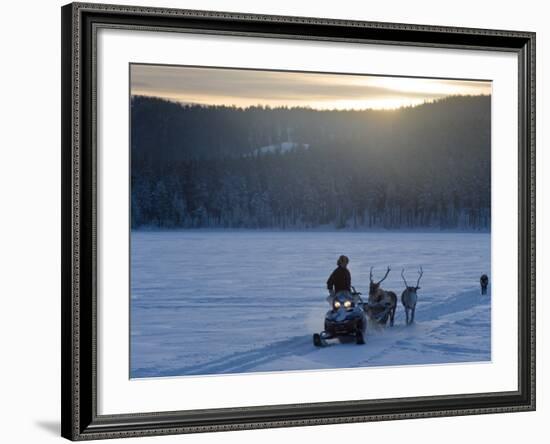 Winter Landscape, Reindeer and Snowmobile, Jokkmokk, Sweden-Peter Adams-Framed Photographic Print