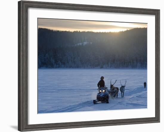 Winter Landscape, Reindeer and Snowmobile, Jokkmokk, Sweden-Peter Adams-Framed Photographic Print