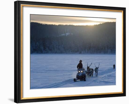 Winter Landscape, Reindeer and Snowmobile, Jokkmokk, Sweden-Peter Adams-Framed Photographic Print