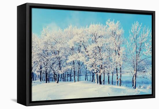 Winter Landscape - Snowy Beautiful Nature with Sunshine over Snow Covered Forest-Marina Zezelina-Framed Premier Image Canvas