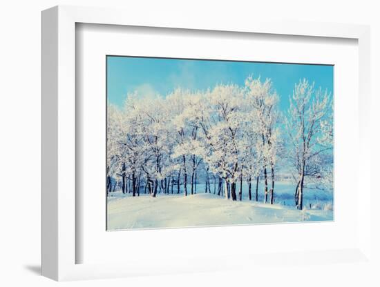 Winter Landscape - Snowy Beautiful Nature with Sunshine over Snow Covered Forest-Marina Zezelina-Framed Photographic Print