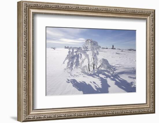 Winter Landscape, Trees, Snow-Covered Germany, Baden-WŸrttemberg, Black Forest-Roland T.-Framed Photographic Print