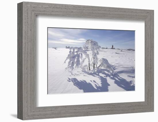 Winter Landscape, Trees, Snow-Covered Germany, Baden-WŸrttemberg, Black Forest-Roland T.-Framed Photographic Print