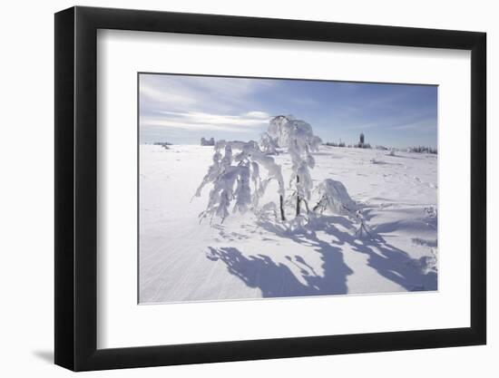 Winter Landscape, Trees, Snow-Covered Germany, Baden-WŸrttemberg, Black Forest-Roland T.-Framed Photographic Print