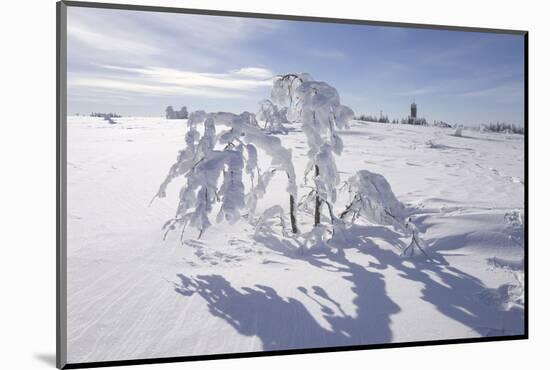 Winter Landscape, Trees, Snow-Covered Germany, Baden-WŸrttemberg, Black Forest-Roland T.-Mounted Photographic Print