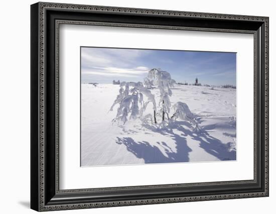 Winter Landscape, Trees, Snow-Covered Germany, Baden-WŸrttemberg, Black Forest-Roland T.-Framed Photographic Print