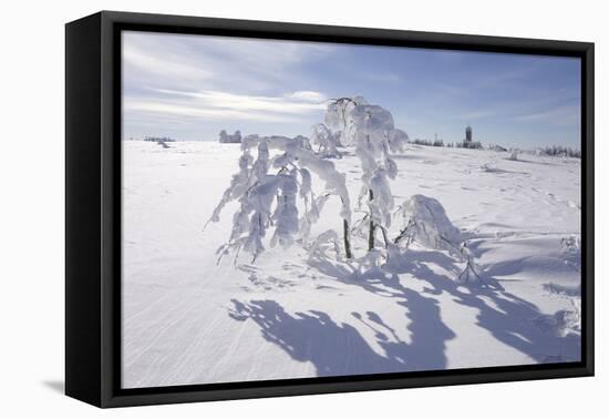Winter Landscape, Trees, Snow-Covered Germany, Baden-WŸrttemberg, Black Forest-Roland T.-Framed Premier Image Canvas