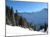 Winter Landscape (Winter in Swiss Alps)-swisshippo-Mounted Photographic Print