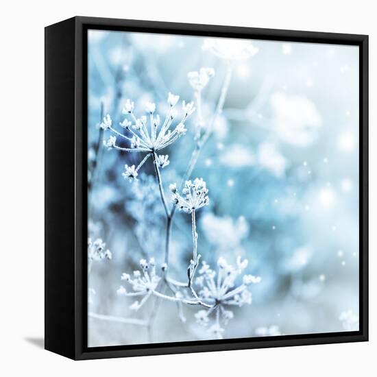 Winter Landscape.Winter Scene .Frozenned Flower-null-Framed Stretched Canvas
