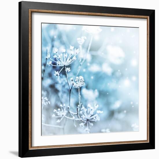 Winter Landscape.Winter Scene .Frozenned Flower-null-Framed Photographic Print