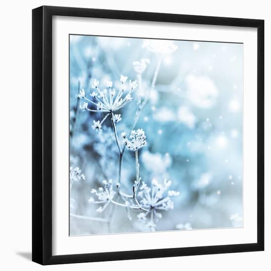 Winter Landscape.Winter Scene .Frozenned Flower-null-Framed Photographic Print