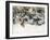 Winter Landscape with Fox and Hounds-Bruno Liljefors-Framed Giclee Print