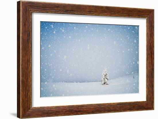 Winter Landscape with Snow-Covered Fir-Tree in a Lonely Mountain Valley. Christmas Theme with Snowf-Kotenko-Framed Photographic Print