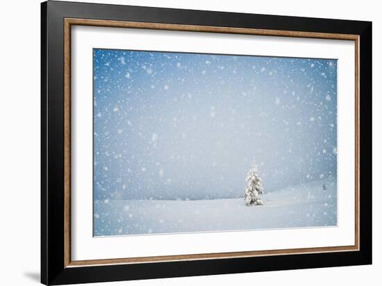 Winter Landscape with Snow-Covered Fir-Tree in a Lonely Mountain Valley. Christmas Theme with Snowf-Kotenko-Framed Photographic Print