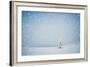 Winter Landscape with Snow-Covered Fir-Tree in a Lonely Mountain Valley. Christmas Theme with Snowf-Kotenko-Framed Photographic Print