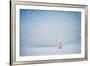 Winter Landscape with Snow-Covered Fir-Tree in a Lonely Mountain Valley. Christmas Theme with Snowf-Kotenko-Framed Photographic Print