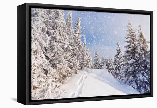 Winter Landscape with Snow Drifts and a Footpath in a Mountain Forest. Forest after a Snow Storm-Kotenko-Framed Premier Image Canvas