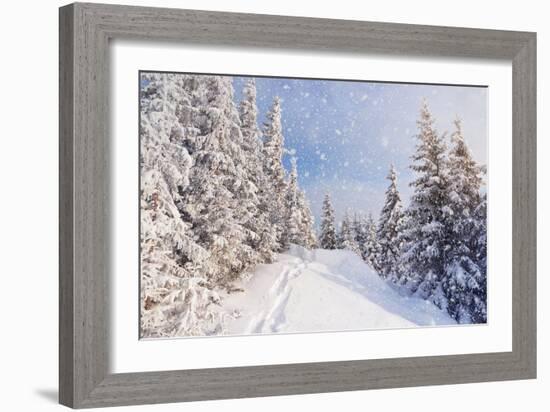 Winter Landscape with Snow Drifts and a Footpath in a Mountain Forest. Forest after a Snow Storm-Kotenko-Framed Photographic Print