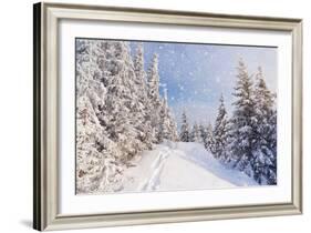Winter Landscape with Snow Drifts and a Footpath in a Mountain Forest. Forest after a Snow Storm-Kotenko-Framed Photographic Print