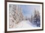 Winter Landscape with Snow Drifts and a Footpath in a Mountain Forest. Forest after a Snow Storm-Kotenko-Framed Photographic Print