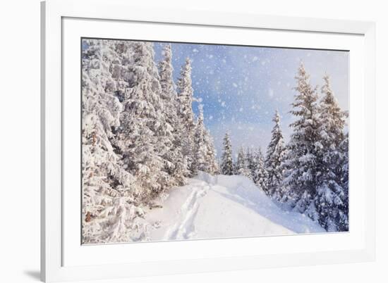 Winter Landscape with Snow Drifts and a Footpath in a Mountain Forest. Forest after a Snow Storm-Kotenko-Framed Photographic Print