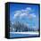 Winter Landscape with Snow in Mountains Carpathians, Ukraine-Kotenko-Framed Premier Image Canvas