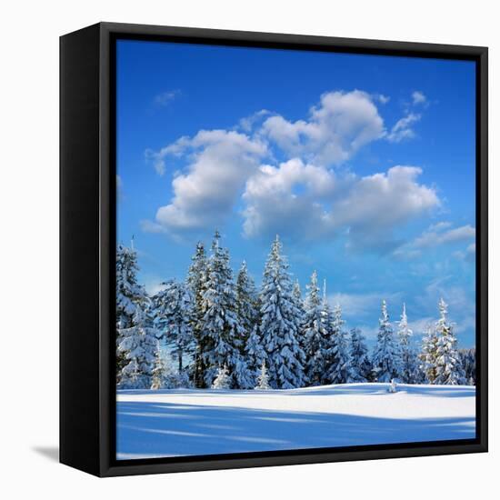 Winter Landscape with Snow in Mountains Carpathians, Ukraine-Kotenko-Framed Premier Image Canvas