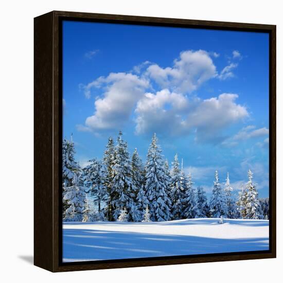 Winter Landscape with Snow in Mountains Carpathians, Ukraine-Kotenko-Framed Premier Image Canvas