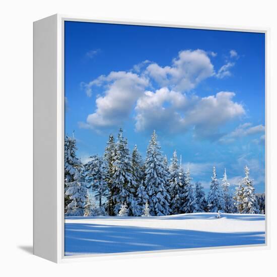 Winter Landscape with Snow in Mountains Carpathians, Ukraine-Kotenko-Framed Premier Image Canvas