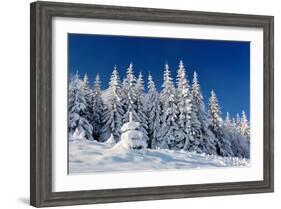 Winter Landscape with Snow in Mountains Carpathians, Ukraine-Kotenko-Framed Photographic Print