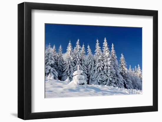 Winter Landscape with Snow in Mountains Carpathians, Ukraine-Kotenko-Framed Photographic Print