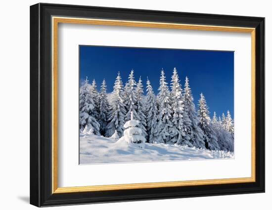 Winter Landscape with Snow in Mountains Carpathians, Ukraine-Kotenko-Framed Photographic Print