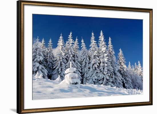 Winter Landscape with Snow in Mountains Carpathians, Ukraine-Kotenko-Framed Photographic Print