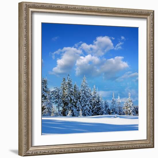 Winter Landscape with Snow in Mountains Carpathians, Ukraine-Kotenko-Framed Photographic Print