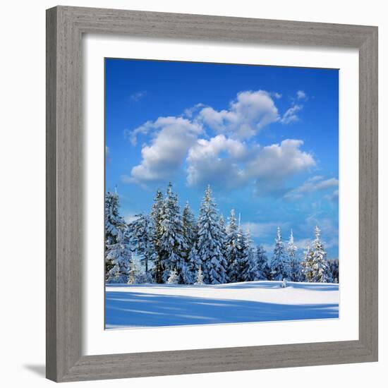 Winter Landscape with Snow in Mountains Carpathians, Ukraine-Kotenko-Framed Photographic Print