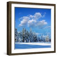 Winter Landscape with Snow in Mountains Carpathians, Ukraine-Kotenko-Framed Photographic Print