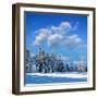 Winter Landscape with Snow in Mountains Carpathians, Ukraine-Kotenko-Framed Photographic Print
