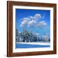 Winter Landscape with Snow in Mountains Carpathians, Ukraine-Kotenko-Framed Photographic Print